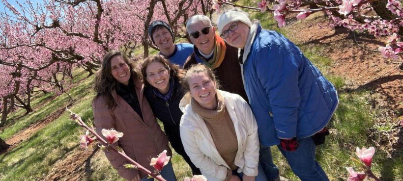 Six people smiling among blossoming fruit trees