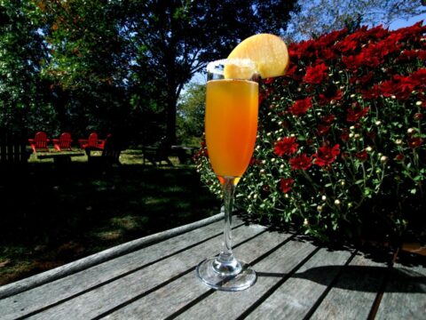 Seasonal CiderMosa at Chiswell Farm & Winery