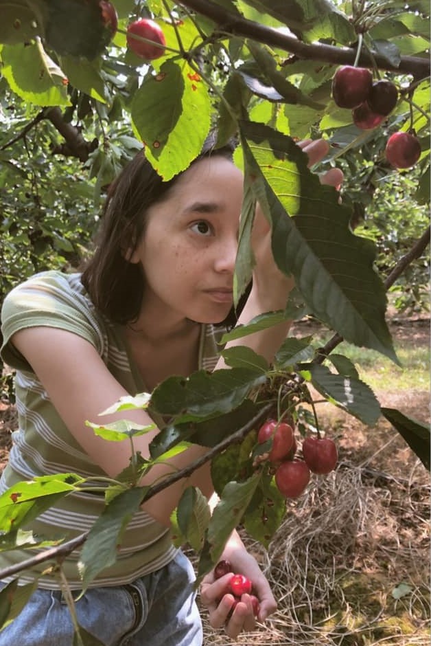Facebook photo of girl picking sweet cherries at spring valley orchard