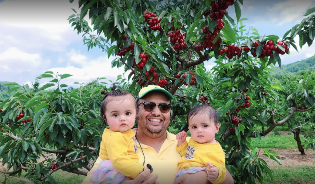 family with sweet cherry tree at spring valley orchard