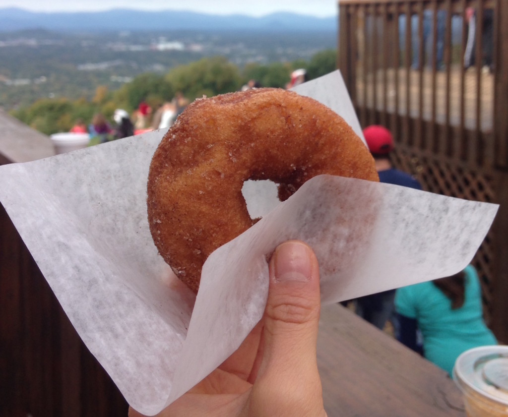 cider donut held in hand