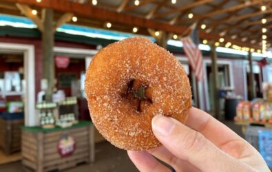 apple cider donut at Carter Mountain Orchard's Country Store