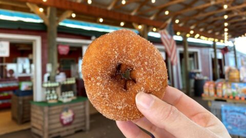 apple cider donut at Carter Mountain Orchard's Country Store