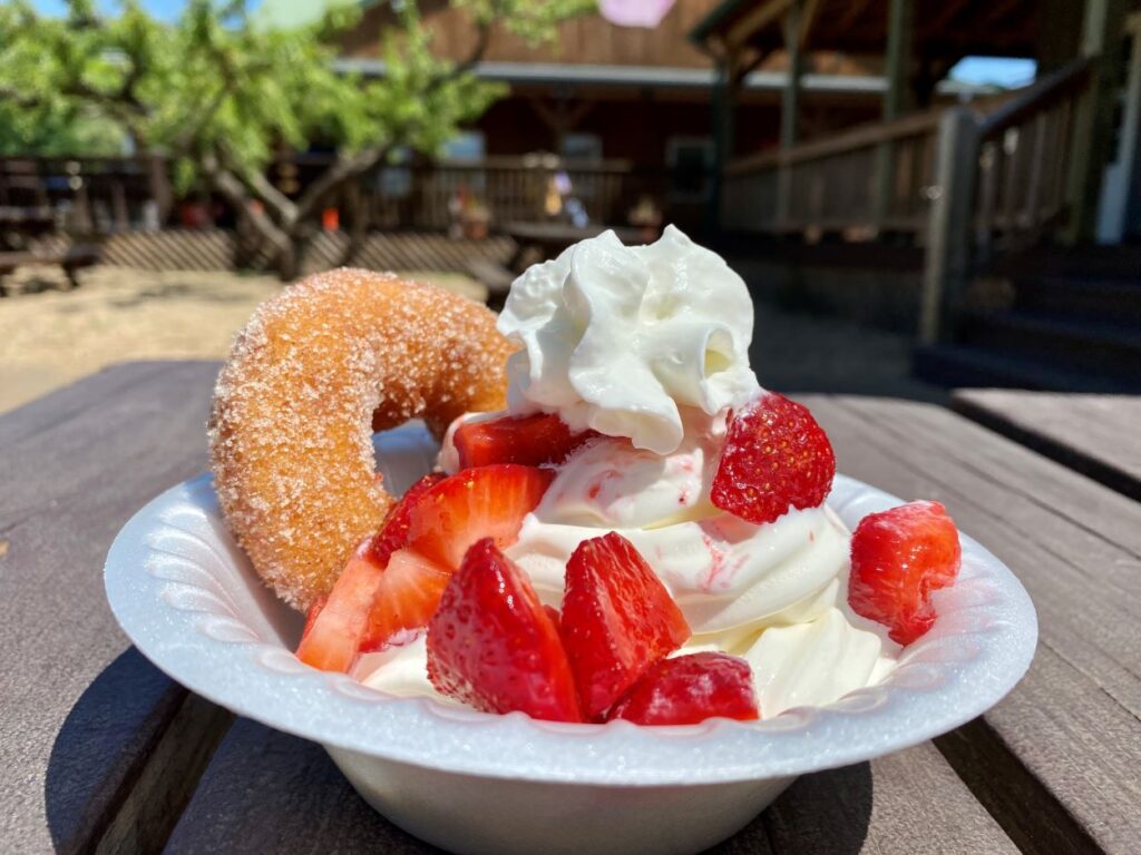 donut sundae with strawberries on top
