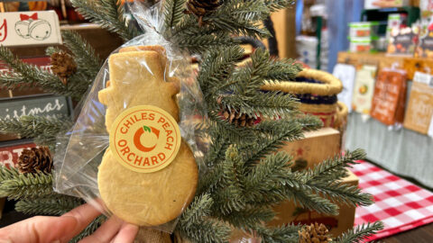 Snowman sugar cookie