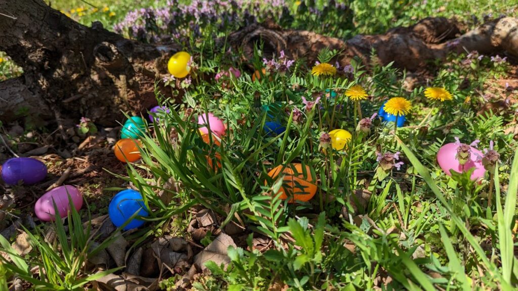 Easter Eggstravaganza egg hunt