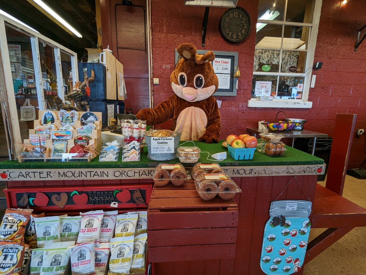 Easter Bunny working at Carter Mountain Orchard Eggstravaganza event