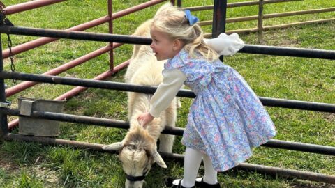 Live animals at Chiles Peach Orchard