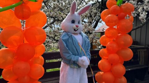 Easter Bunny at Hop Into Spring