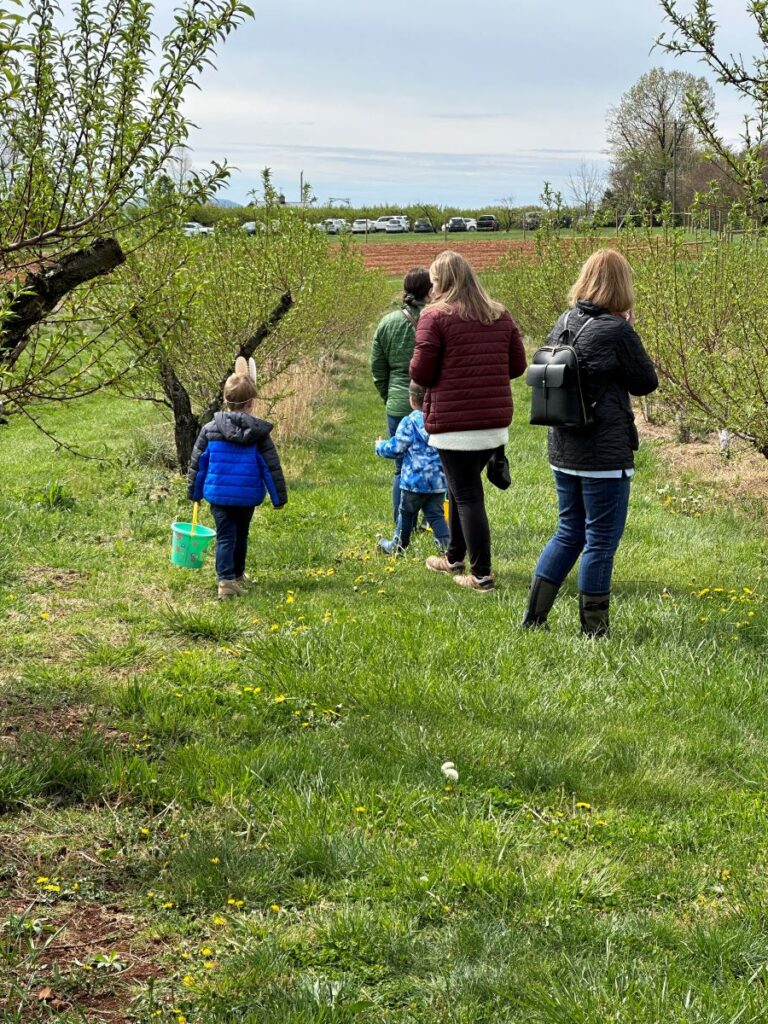 Egg hunt at Chiles Peach Orchard hop into spring easter event