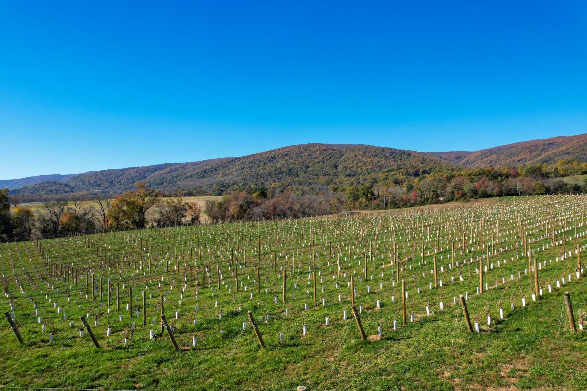 Crown Club Evening in the Vineyard May 10, 2024 Chiswell Farm & Winery