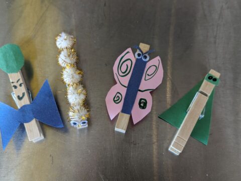Cultivating Curiosity clothespin magnet kids craft