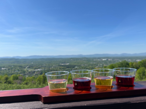 Fruit Fusion wine flight at Carter Mountain