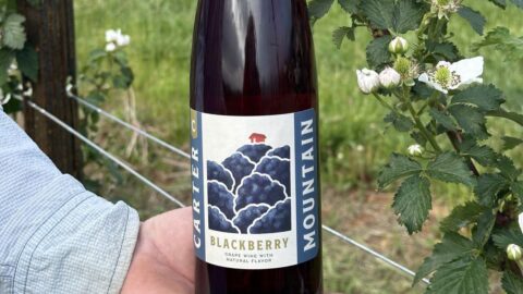 Blackberry fruit wine at Chiles Peach Orchard