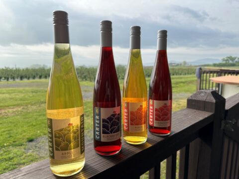Fruit wines at Chiles Peach Orchard