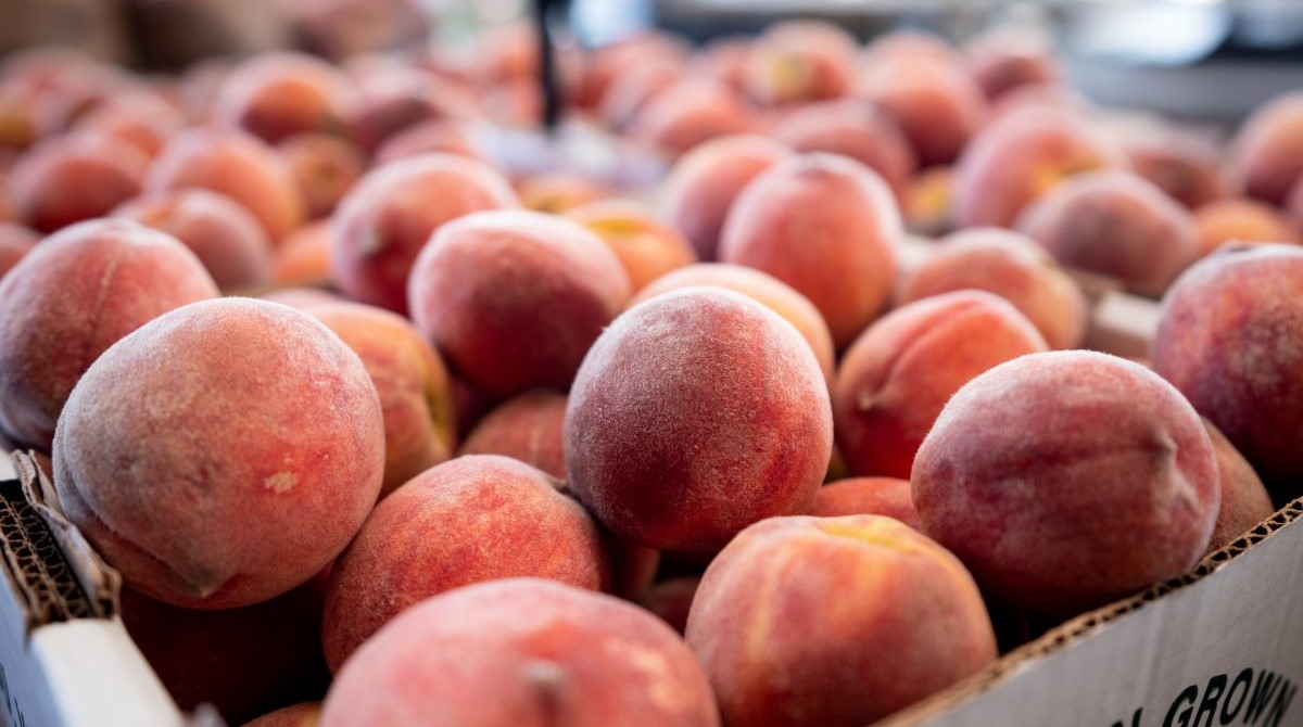 Pre-picked peaches at market