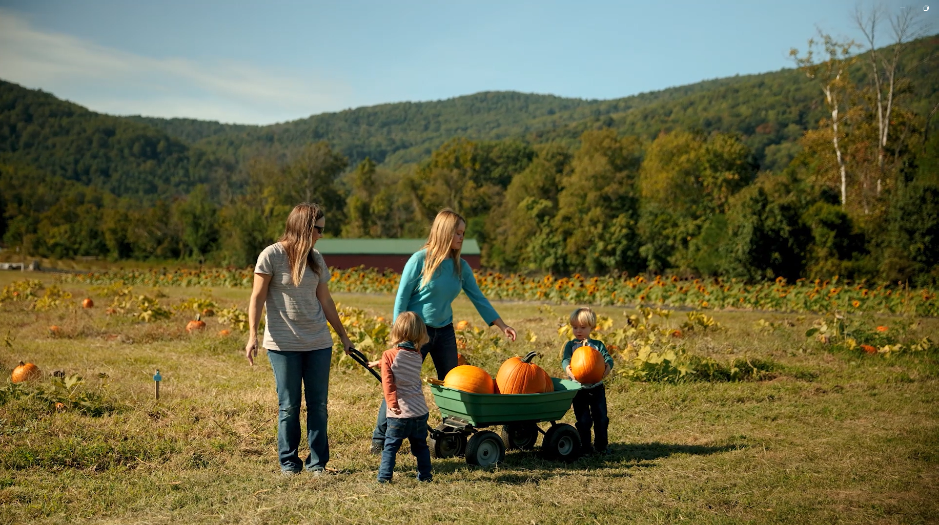 Family picking pumpkins at Chiles