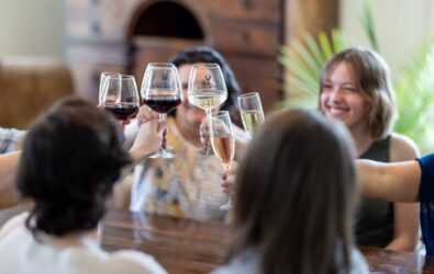 A group of people clinking wine glasses together around a table.