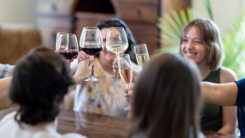 A group of people clinking wine glasses together around a table.