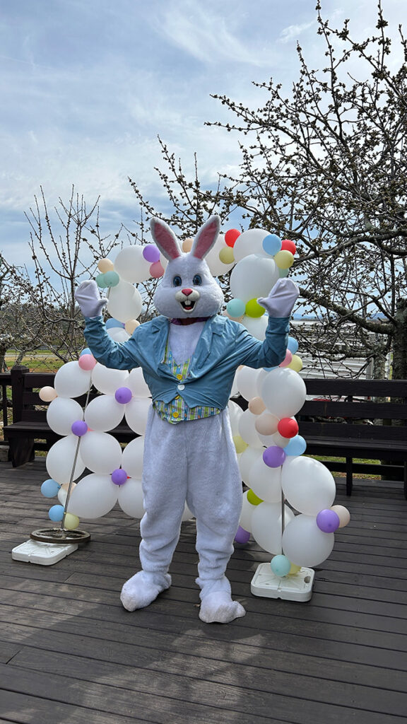 The easter bunny, posing in front of balloons at Chiles Peach Orchard