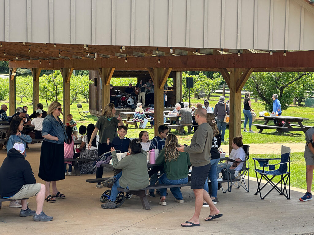 Live music at Chiles Peach Orchard, viewed from a shaded pavilion.