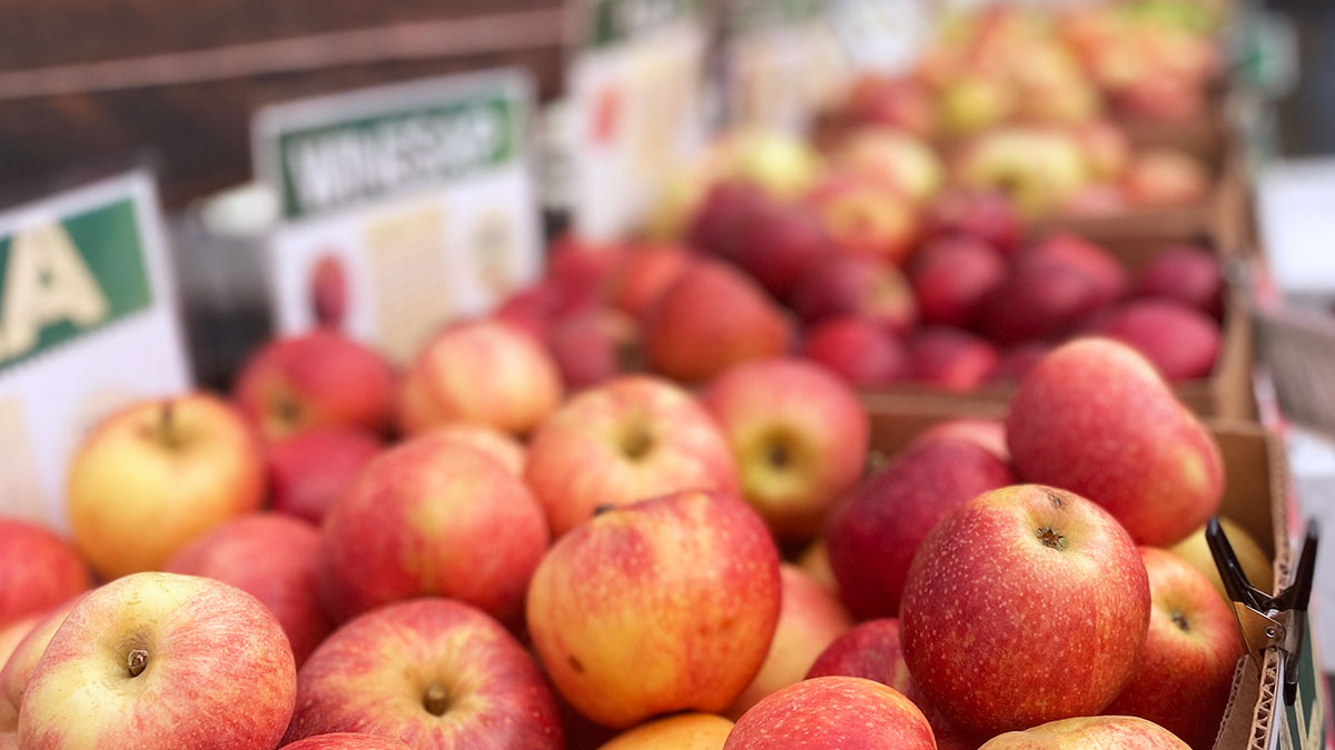 Rows of apples on display at a market.