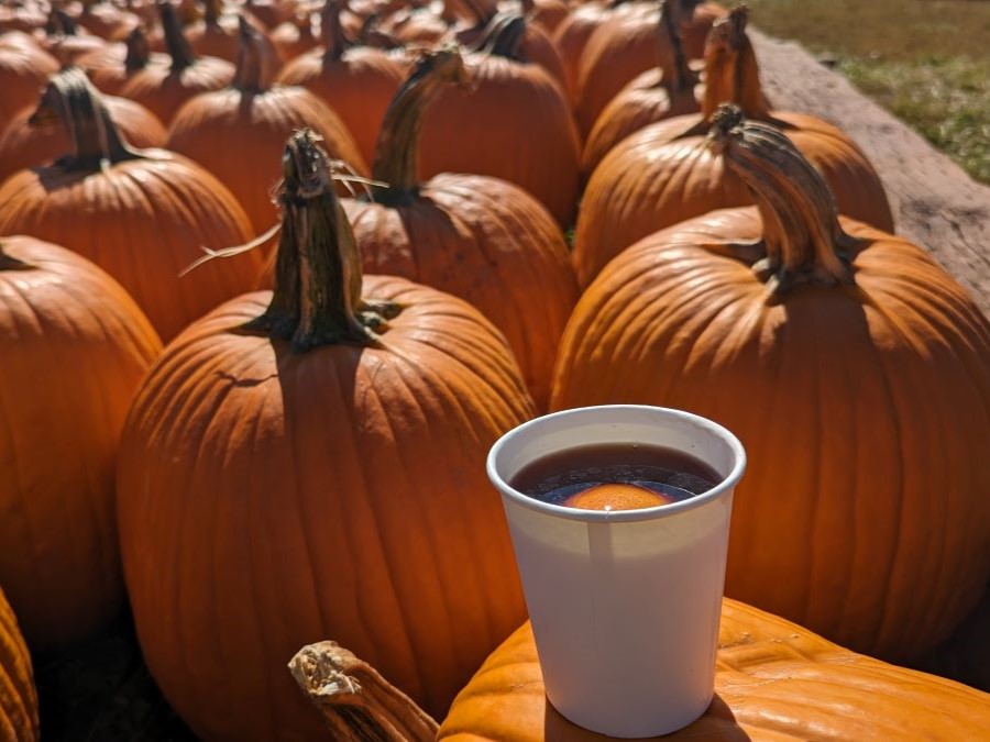 mulled wine with pumpkins in background