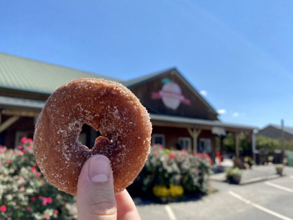 A donut held in front of Chiles Peach Orchard