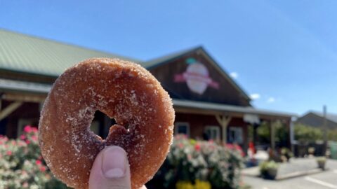 A donut held in front of Chiles Peach Orchard