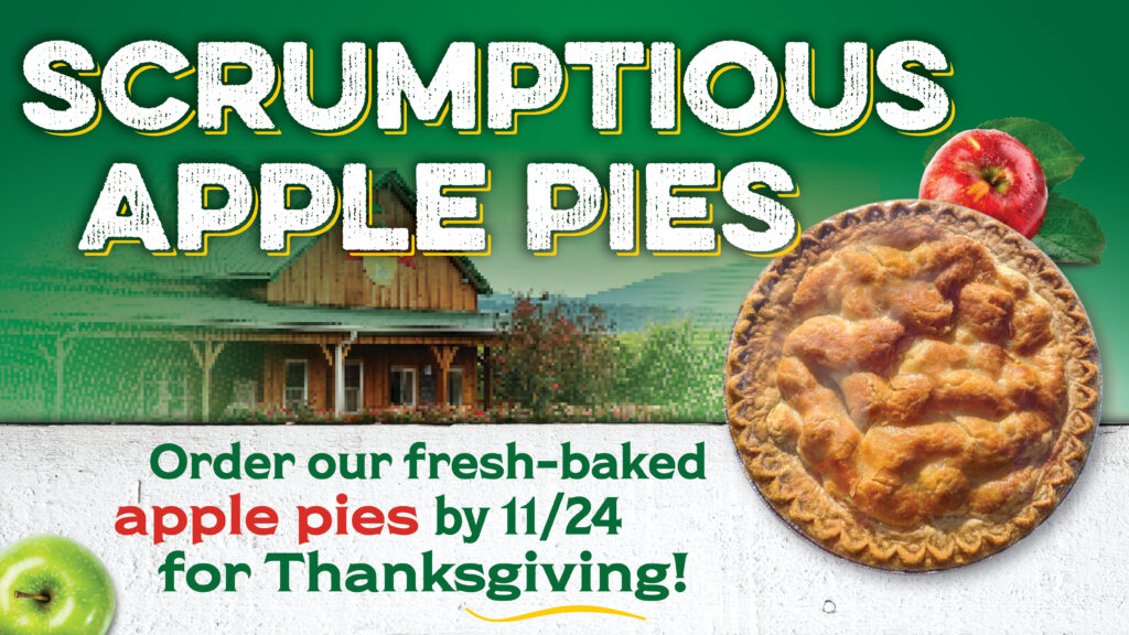 2025 Thanksgiving dessert orders graphic