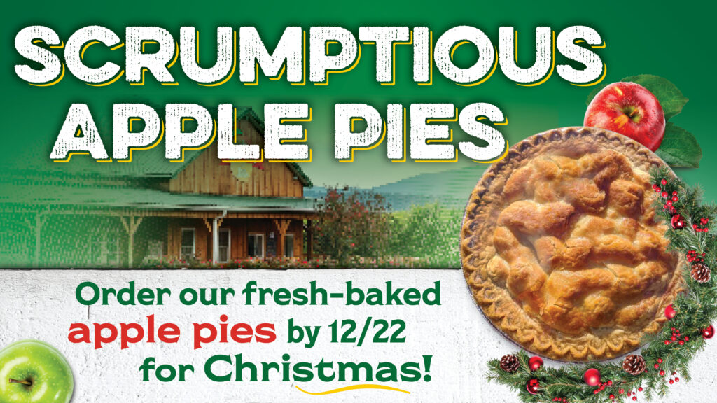 A graphic with a pie and a store reading "Scrumptious apple pies."