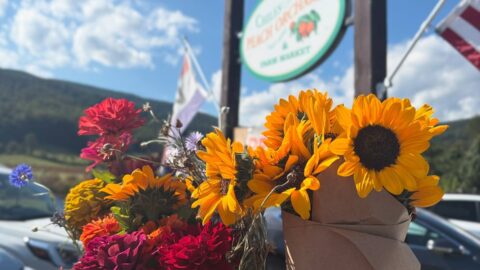 A bouquet of zinnias and a bouquet of sunflowers in front of the sign for Chiles Peach Orcahrd