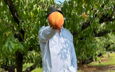 Farmer Henry Chiles holding a world-record peach in front of his face