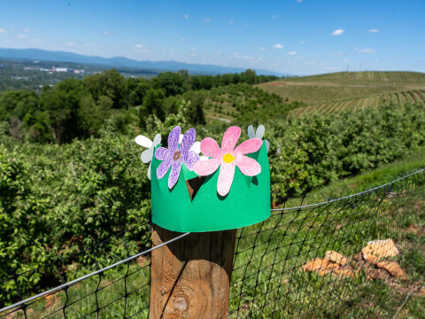 A paper flower crown