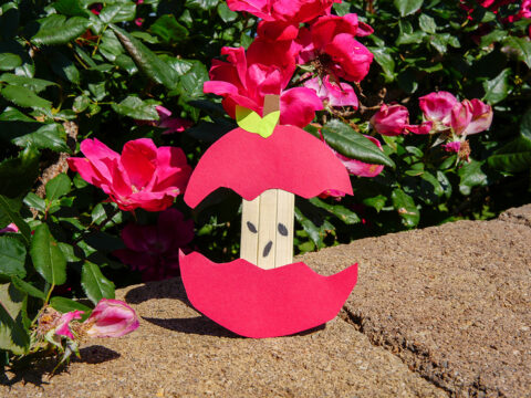An apple core craft made from a popsicle stick