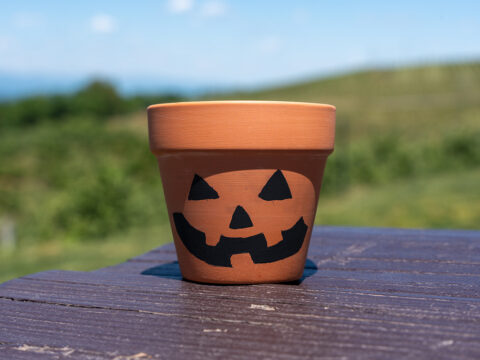 A jack-o-lantern pot face