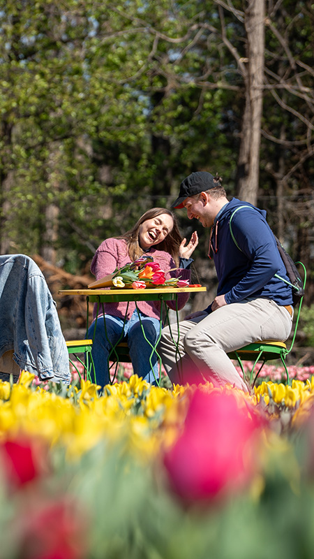 A couple laughing at a table in a field ot fulips