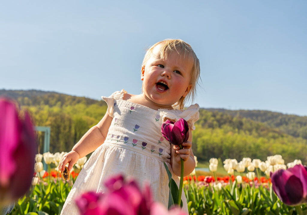 A baby in a tulip field