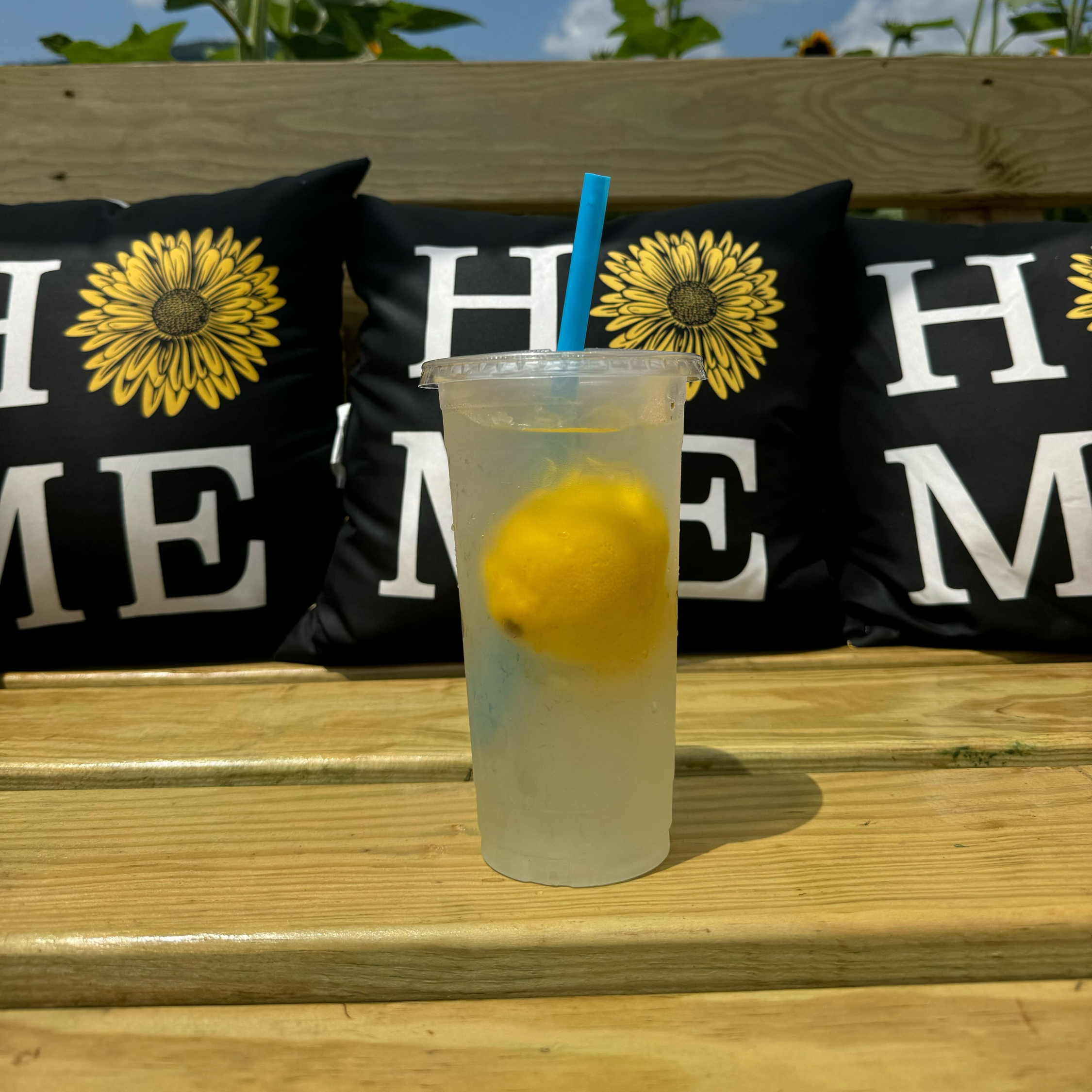 Fresh lemonade on a bench outside in a sunflower field