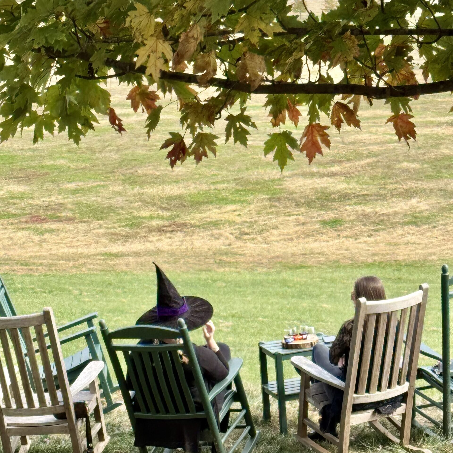 witches seated in wooden chairs outdoors with fall leaves above them