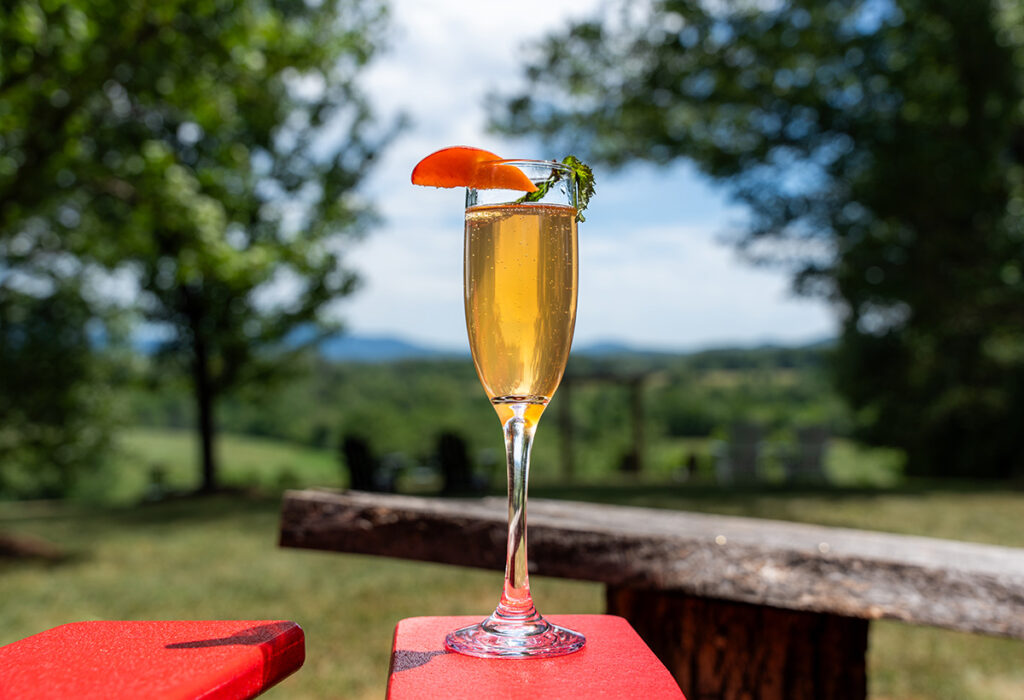 A mimosa on the arm of a chair outside during summer