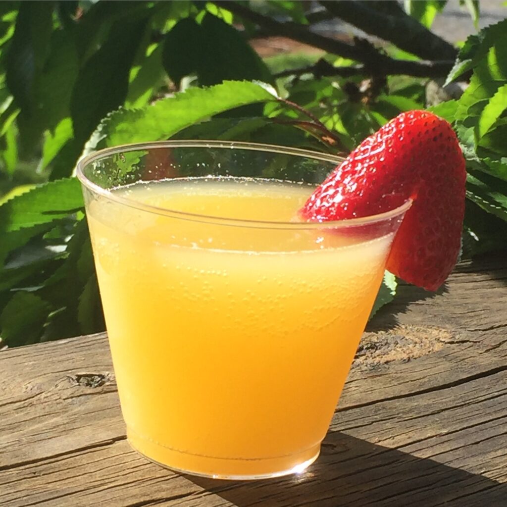 A mimosa in a plastic cup