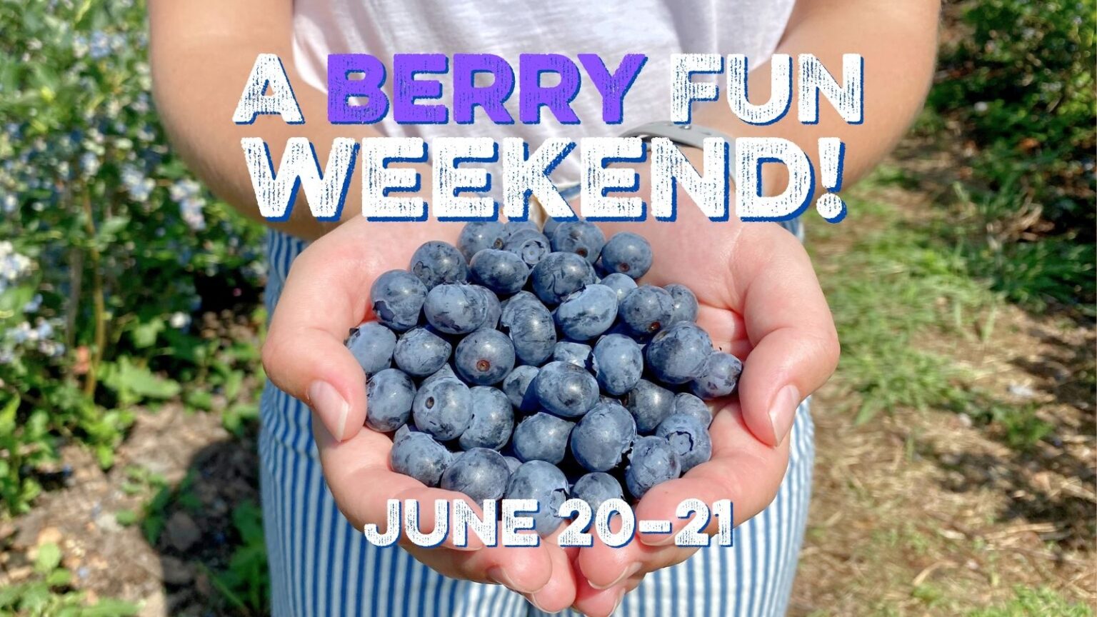 A Berry Fun Weekend | June 20-21, 2026 | Chiles Peach Orchard