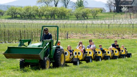families on a bee train ride