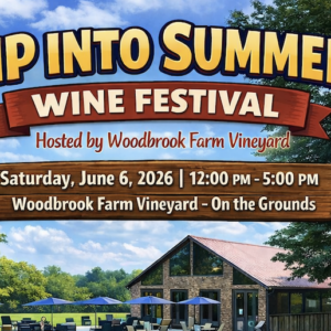 A poster for the Sip Into Summer Wine Festival on June 6