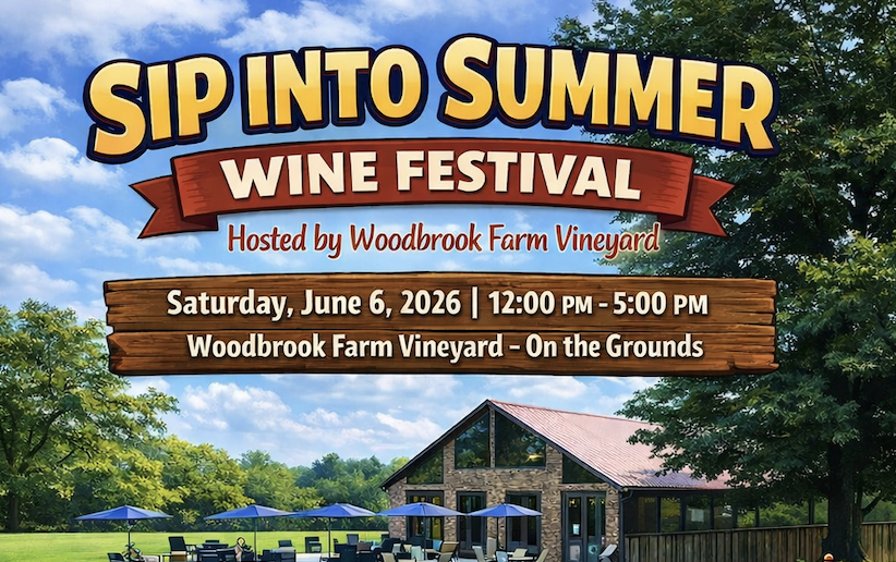 A poster for the Sip Into Summer Wine Festival on June 6