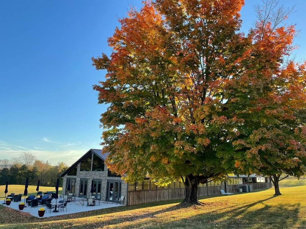 Woodbrook Farm Vineyard