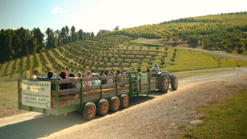 A tractor hayride alongside a mountain road