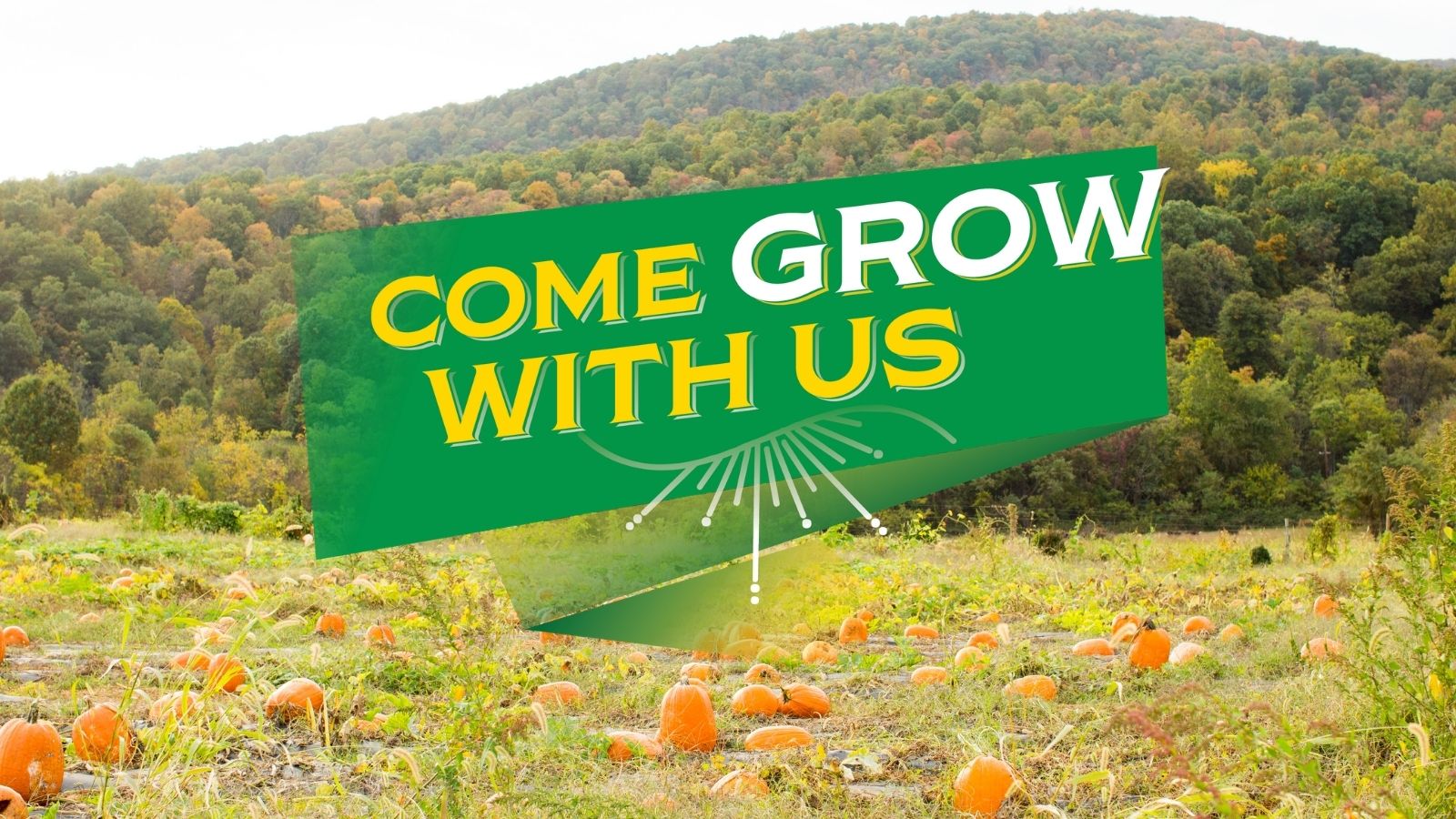 A pumpkin patch with the text "Come Grow with Us" over it