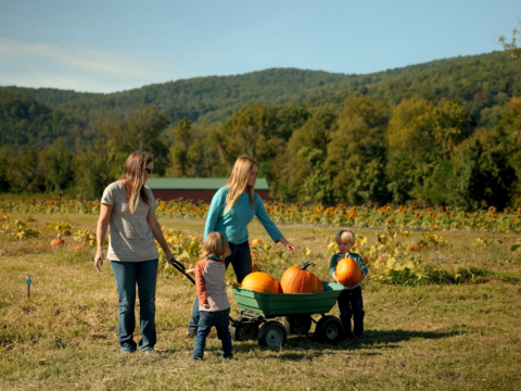 family with cart of pumpkins